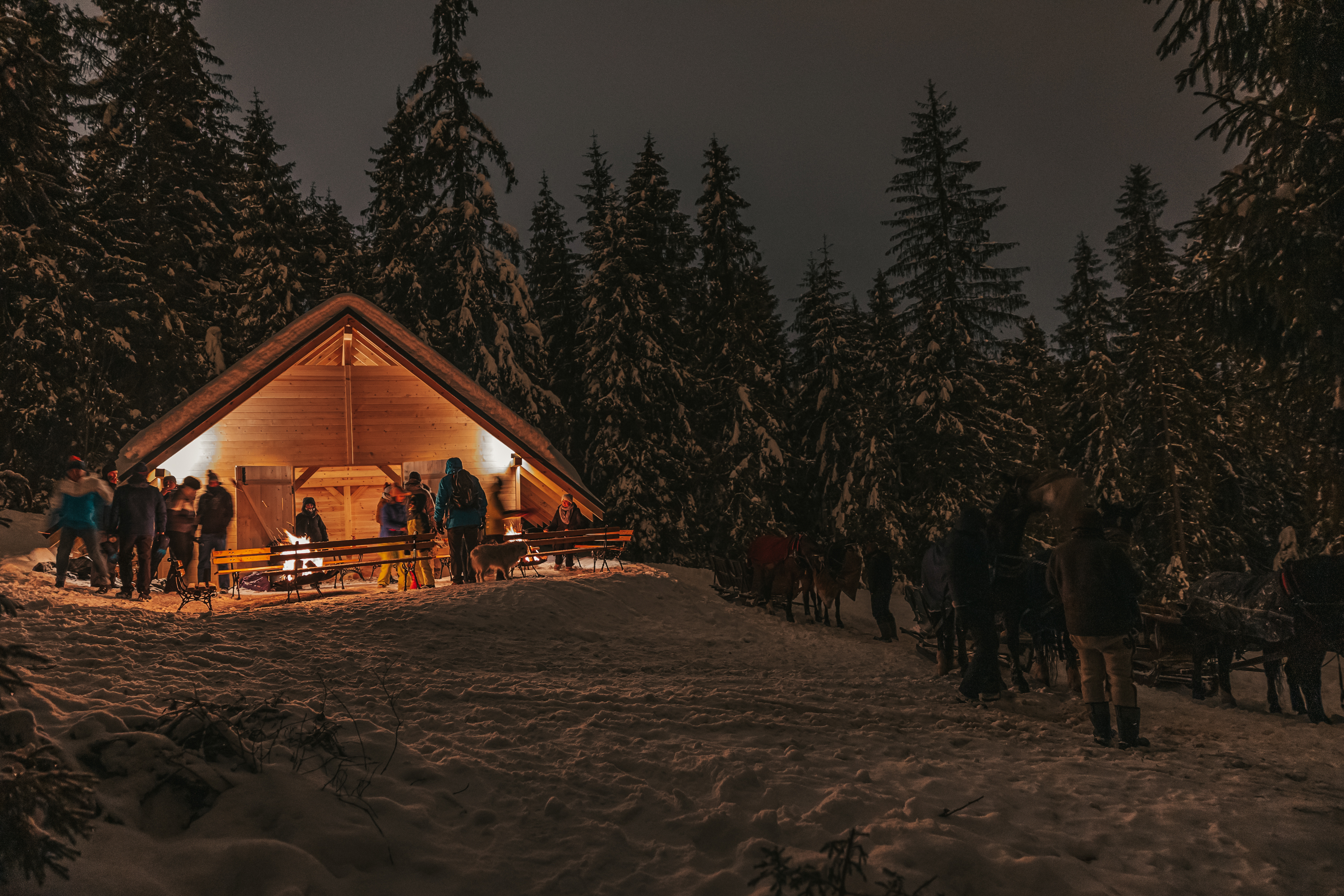 Kulig nocą w Bukowinie Tatrzańskiej - magiczna przygoda na Podhalu pod gwieździstym niebem!