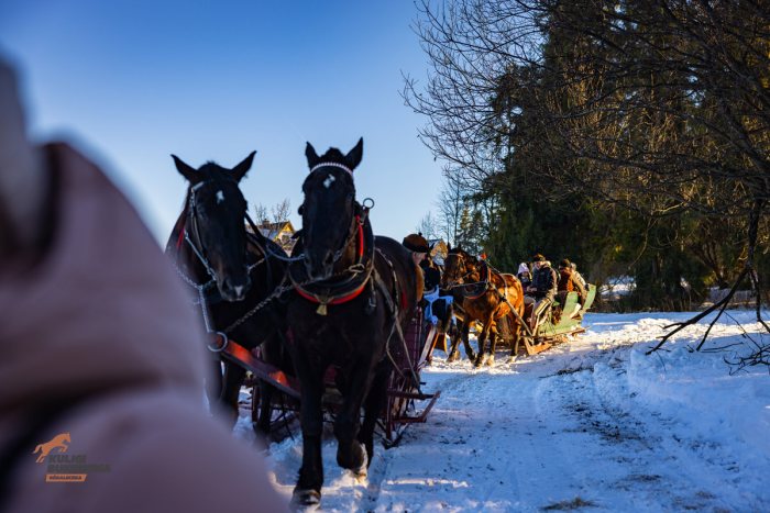 Zdjęcie 9 z galerii: Tam, gdzie skrzypi śnieg i gra muzyka - historia wyjątkowego kuligu